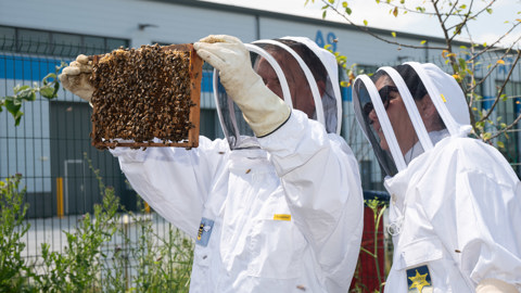 Biodiversity Net Gain (BNG) Initiatives